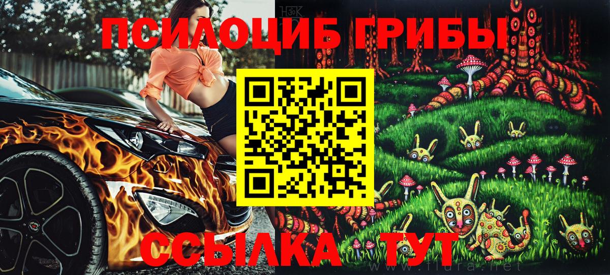 Псилоцибиновые грибы MAGIC MUSHROOMS Черняховск