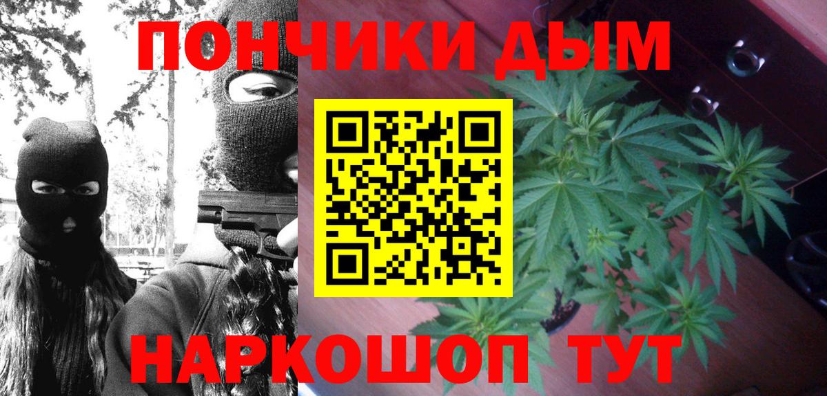 Конопля гибрид Черняховск